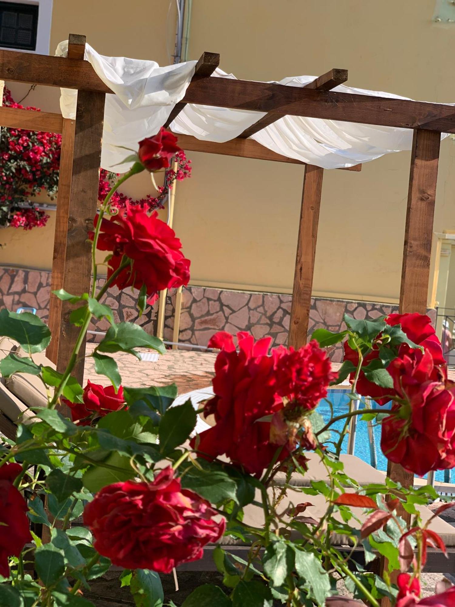מוראיטיקה Avra Sea View Paradise Pool Apartments מראה חיצוני תמונה